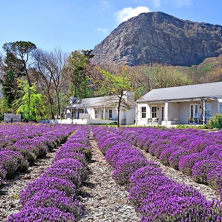 Lavender Farm Boutique Guest House Franschhoek Luaran gambar