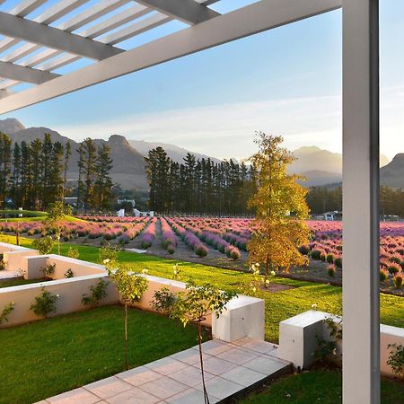 Lavender Farm Boutique Guest House Franschhoek Luaran gambar