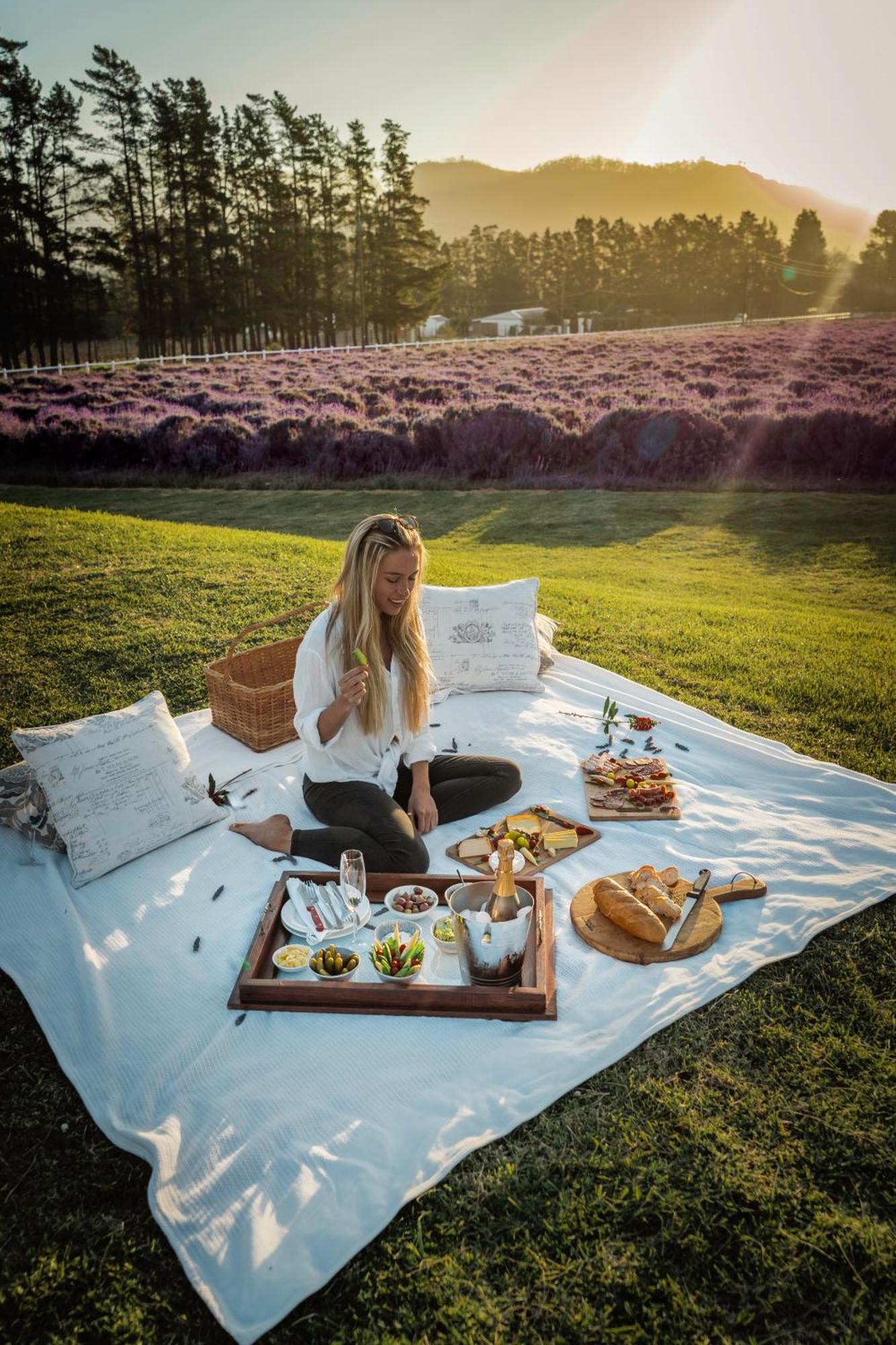 Lavender Farm Boutique Guest House Franschhoek Luaran gambar