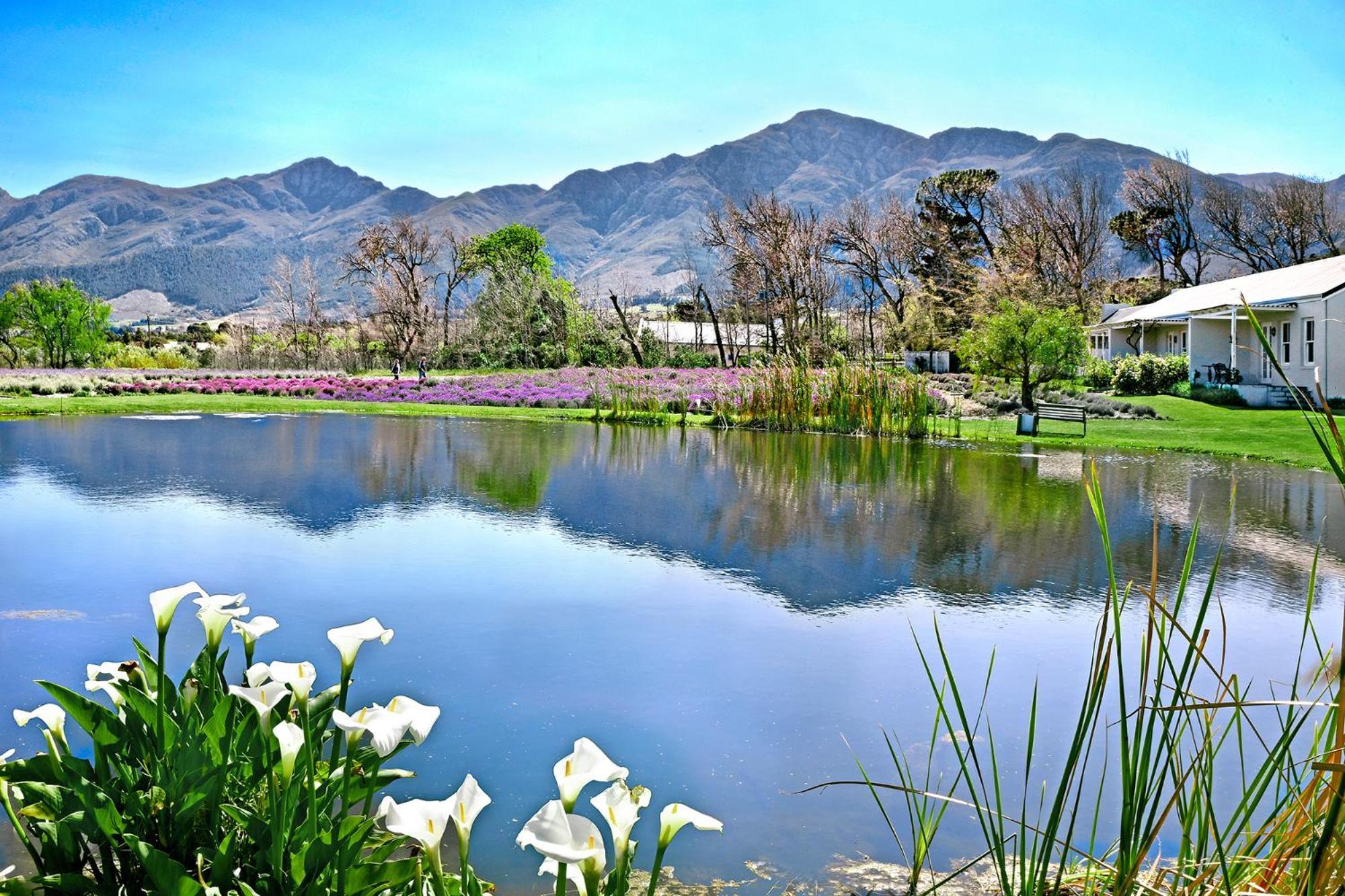 Lavender Farm Boutique Guest House Franschhoek Luaran gambar