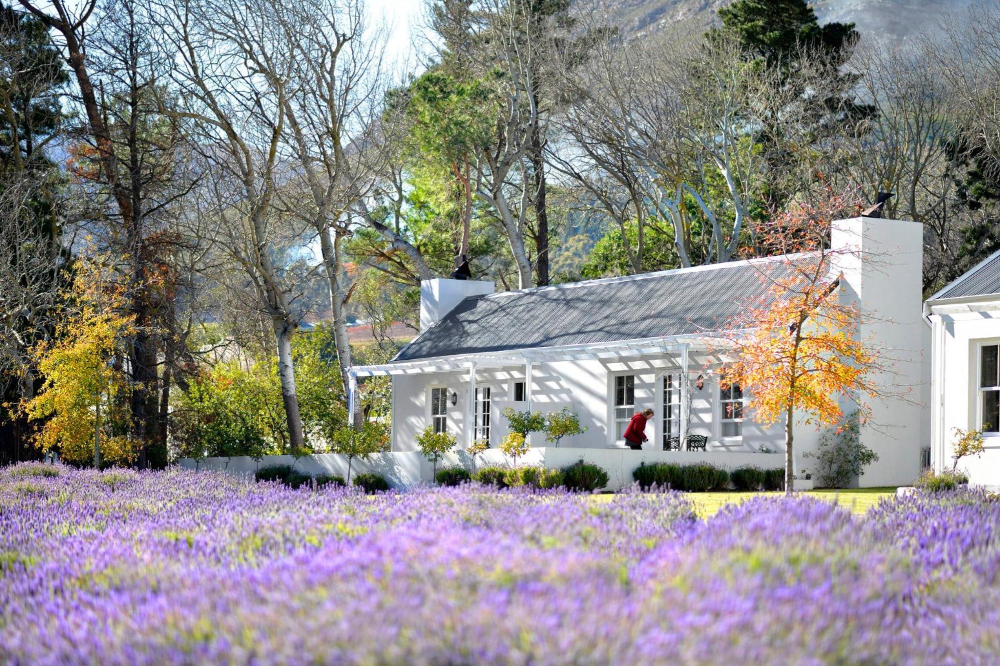 Lavender Farm Boutique Guest House Franschhoek Luaran gambar