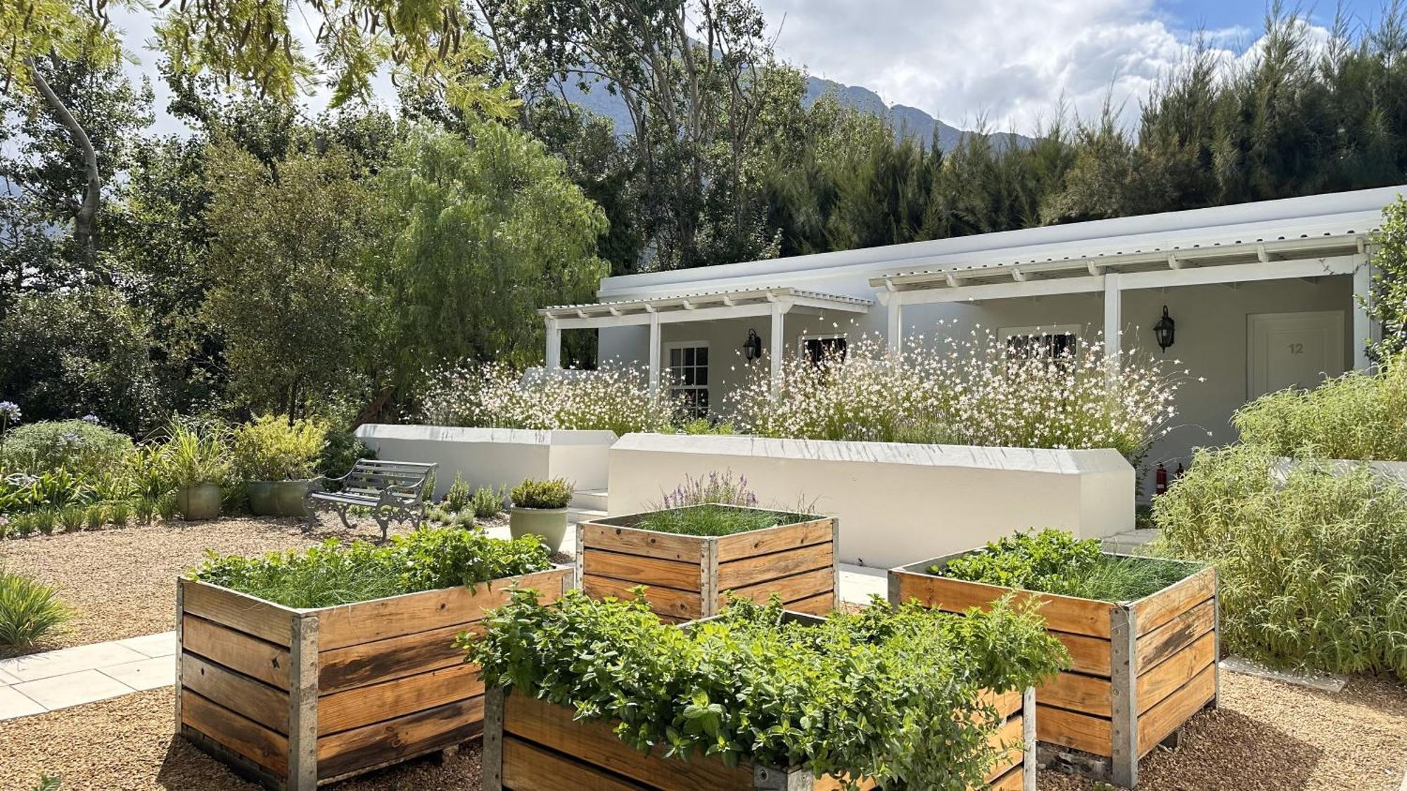 Lavender Farm Boutique Guest House Franschhoek Luaran gambar