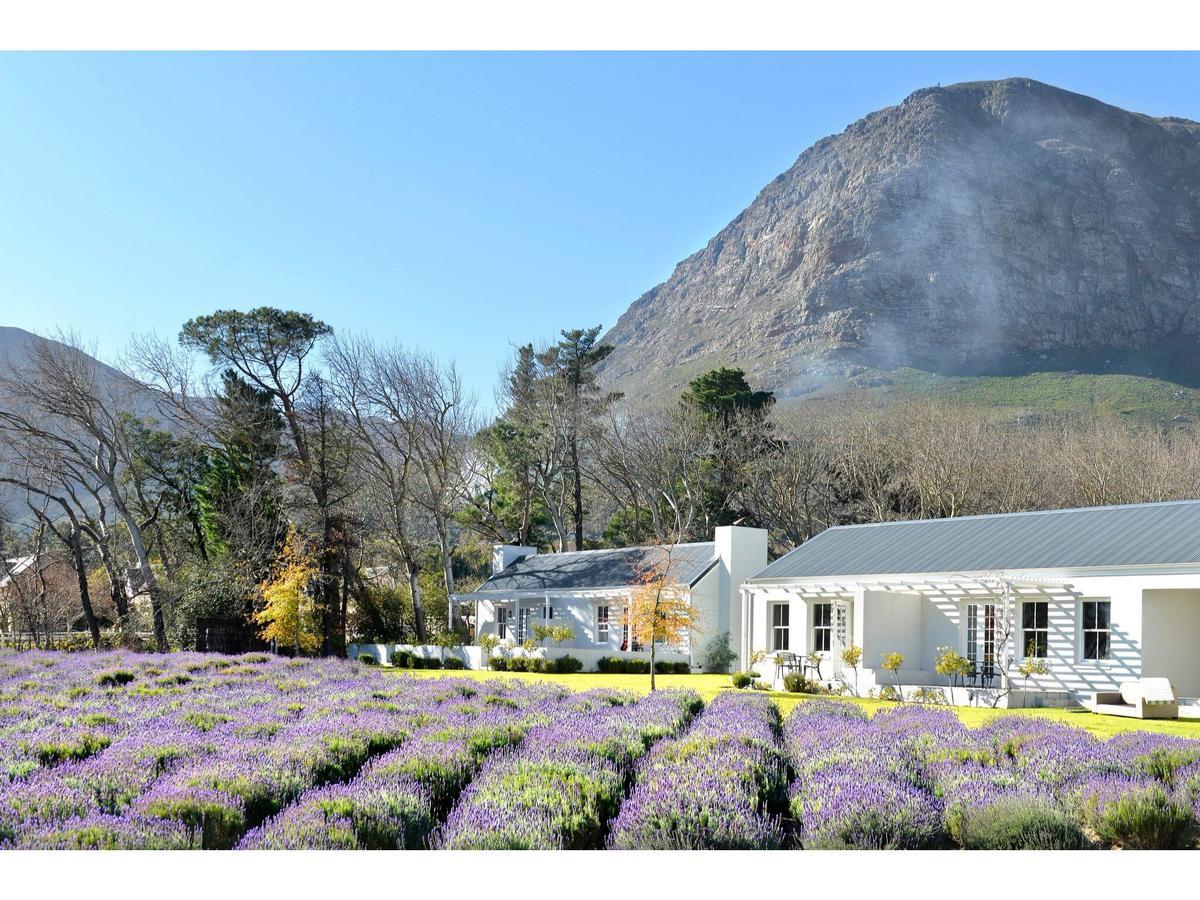 Lavender Farm Boutique Guest House Franschhoek Luaran gambar