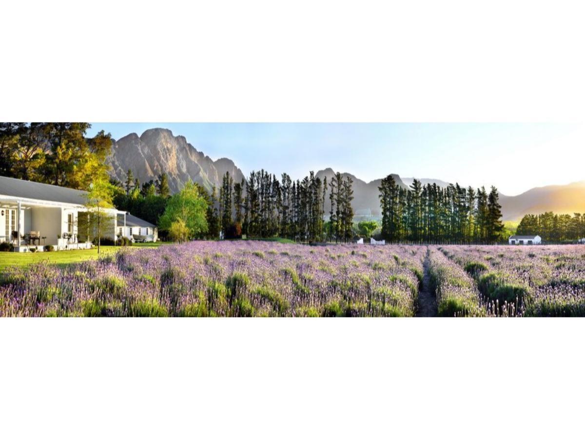 Lavender Farm Boutique Guest House Franschhoek Luaran gambar