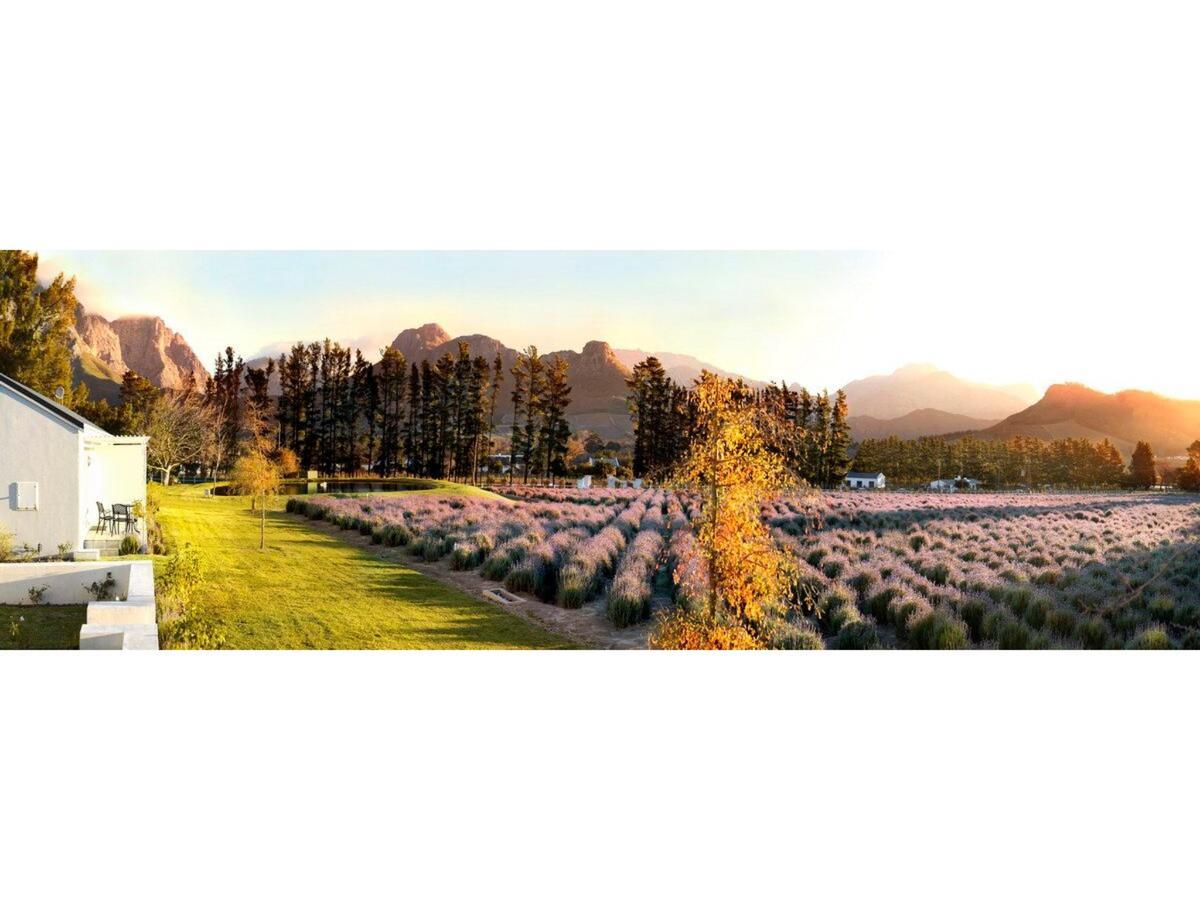 Lavender Farm Boutique Guest House Franschhoek Luaran gambar