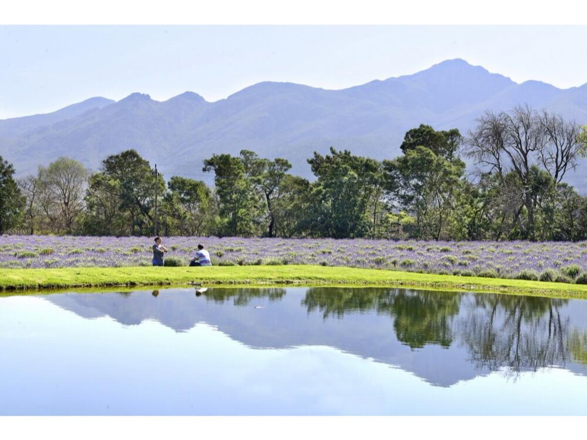 Lavender Farm Boutique Guest House Franschhoek Luaran gambar