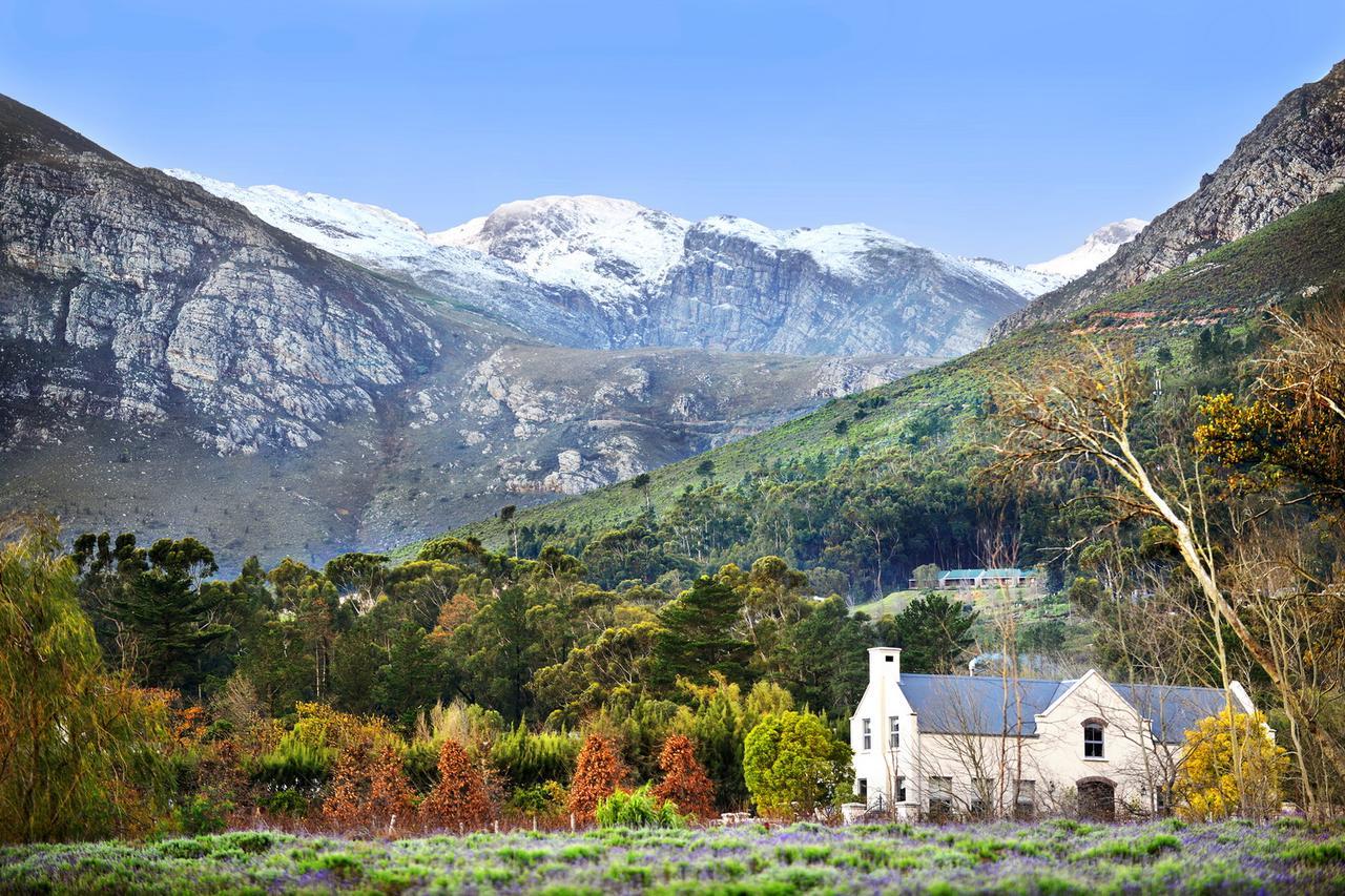 Lavender Farm Boutique Guest House Franschhoek Luaran gambar