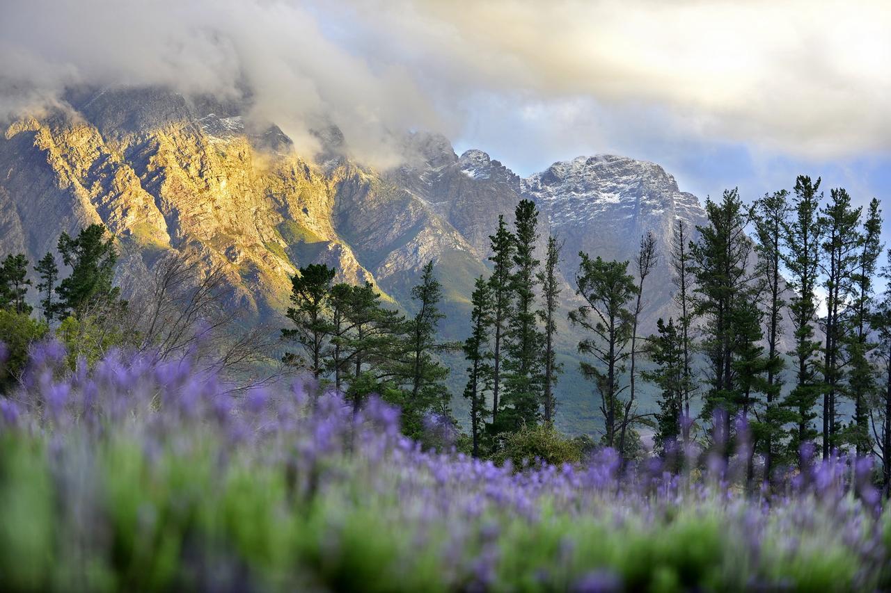 Lavender Farm Boutique Guest House Franschhoek Luaran gambar