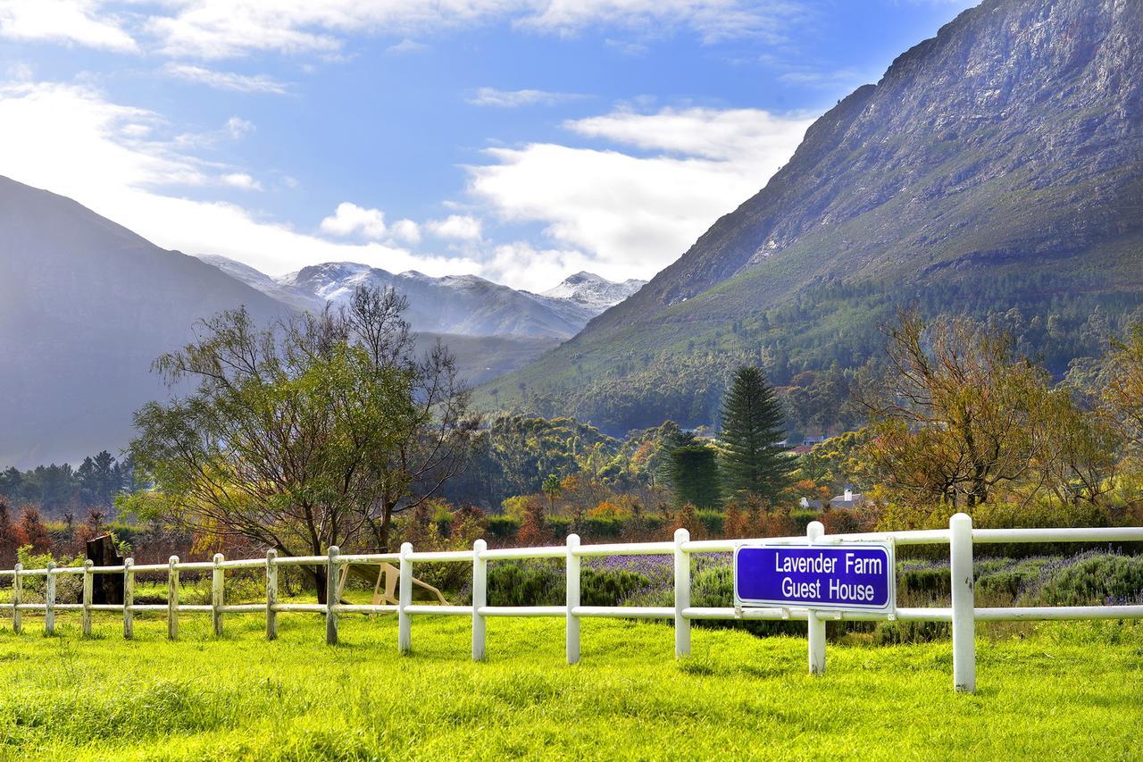 Lavender Farm Boutique Guest House Franschhoek Luaran gambar