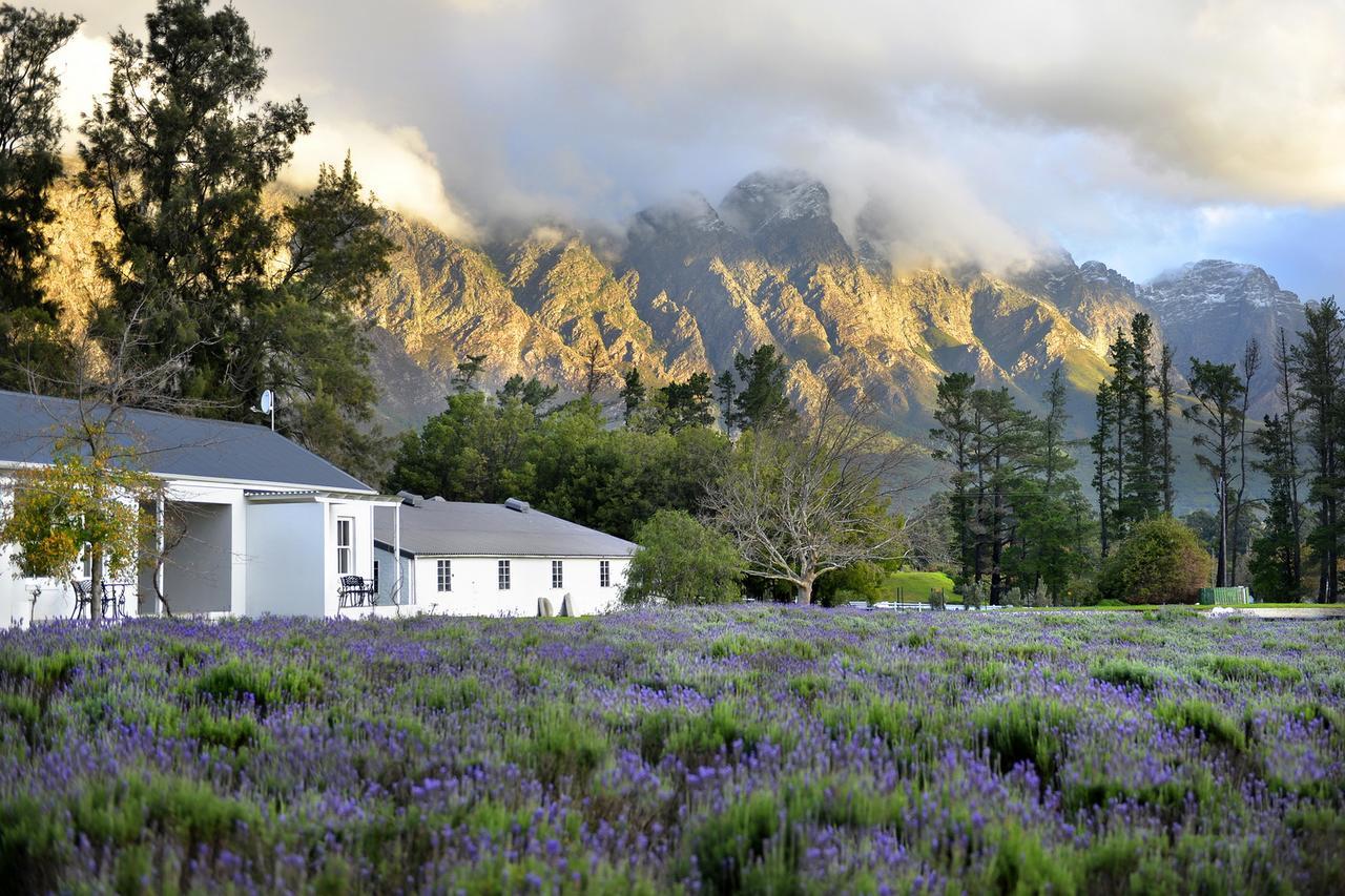 Lavender Farm Boutique Guest House Franschhoek Luaran gambar